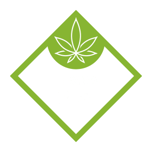 fresh