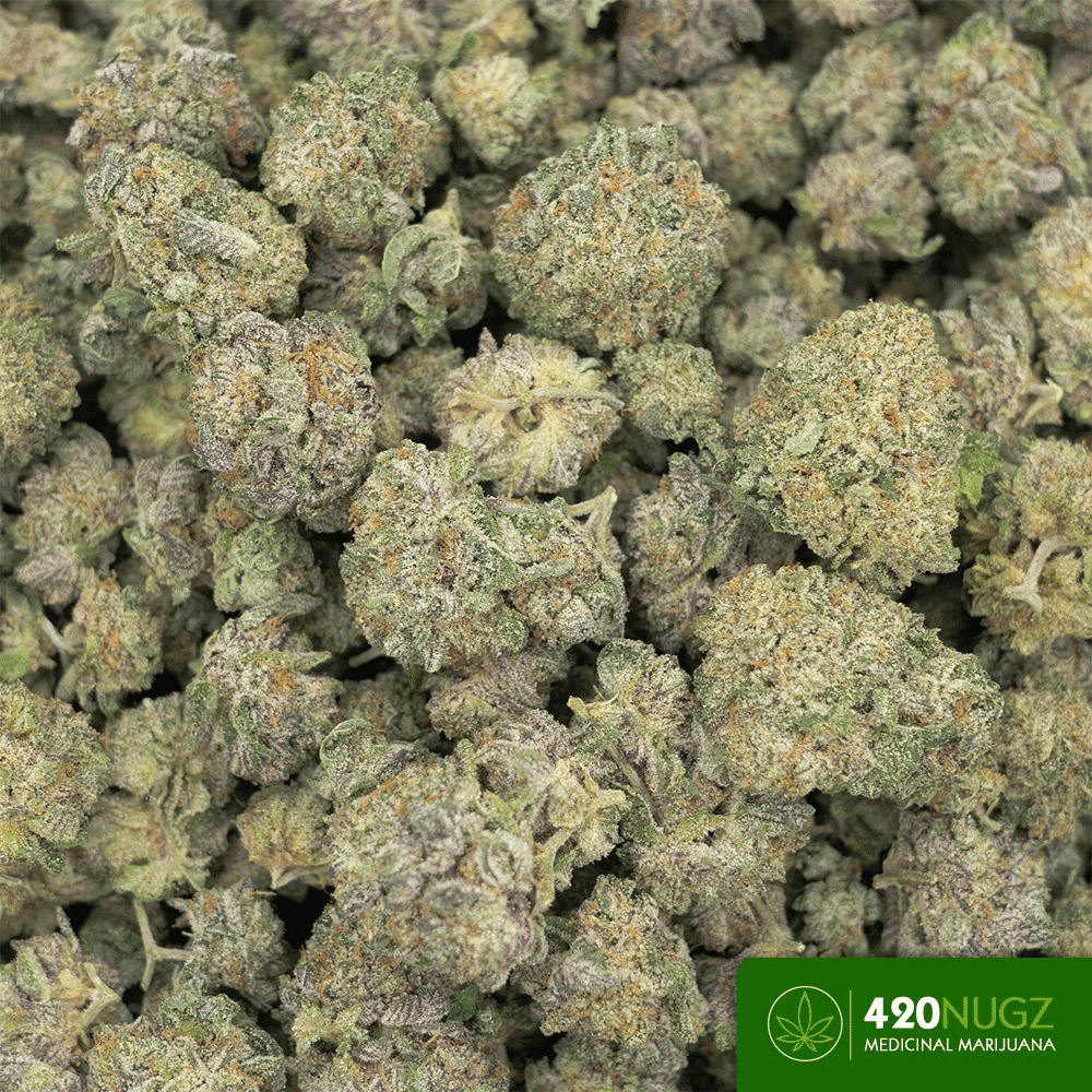 *PR* Blue Cookies from Limb by Limb Farms Wholesale - Image 2