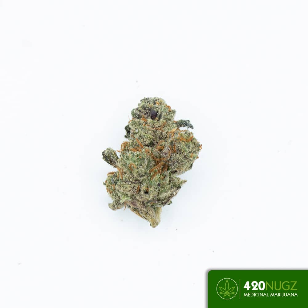 BUDGET BANGERS Banana OG (Smalls)