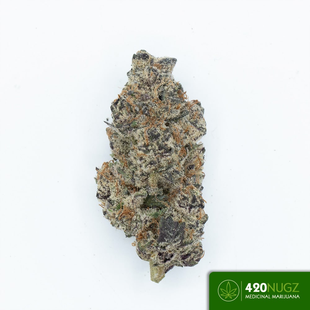 *PR* Black roses from High Sierra Wholesale