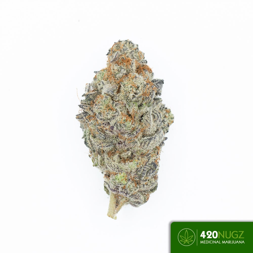 *PR* Glitter Bomb by Big Boyz Exoticz