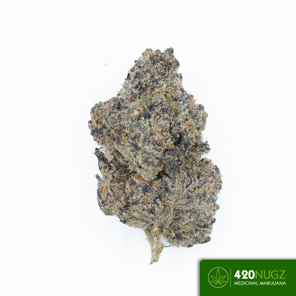 *PR* Pink Sprite by Harvest Haven