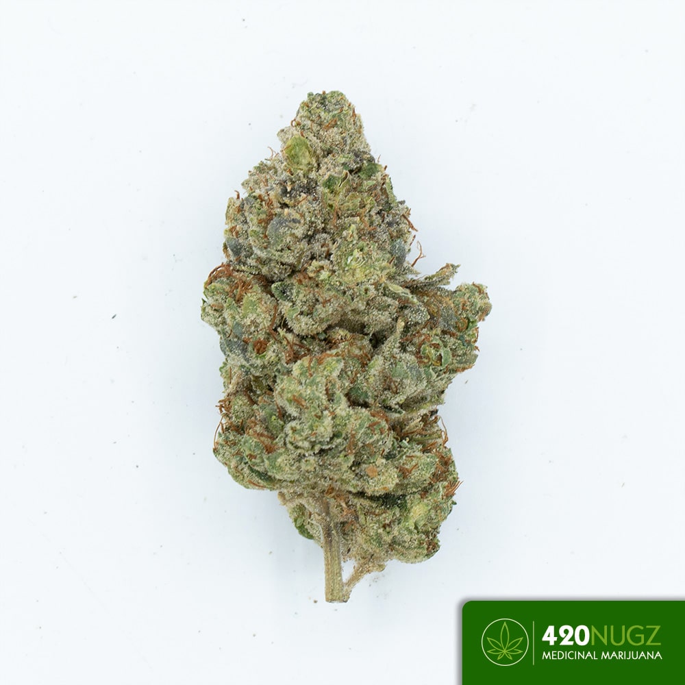 *PR* Romulan from Big Boyz Exoticz Wholesale