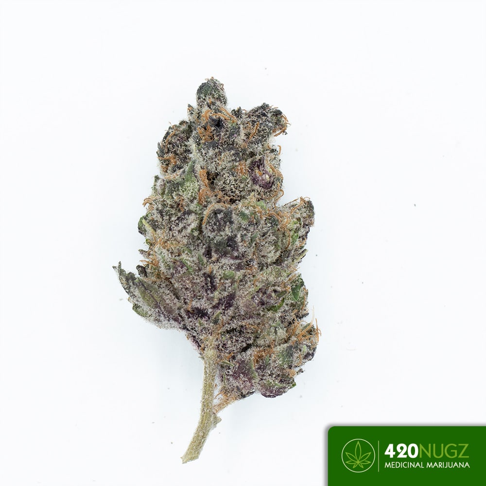 *PR* Super Boof by Big Boyz Exoticz