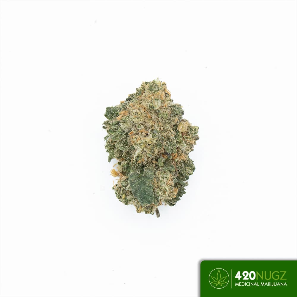 BUDGET BANGERS Florida OG Smalls