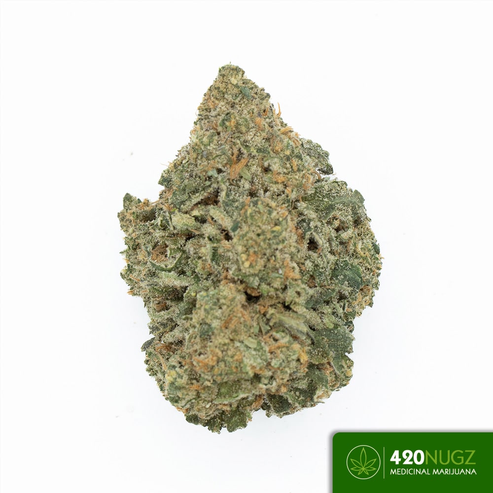 *PR*Bubba Kush from Harvest Haven Wholesale
