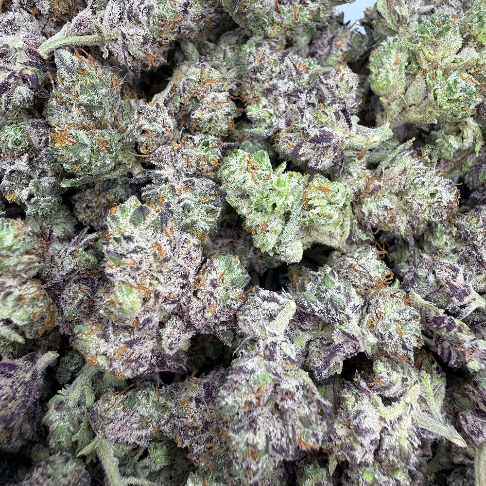 Dense clusters of purple-hued cannabis buds with a frosty coating, representing the BUDGET BANGERS Birthday Cake strain, an indica-dominant hybrid available for purchase.