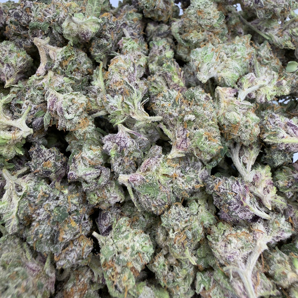 Biscotti cannabis buds featuring dense, frosty green and purple flowers, highlighting the product available for purchase at 420 Nugz.
