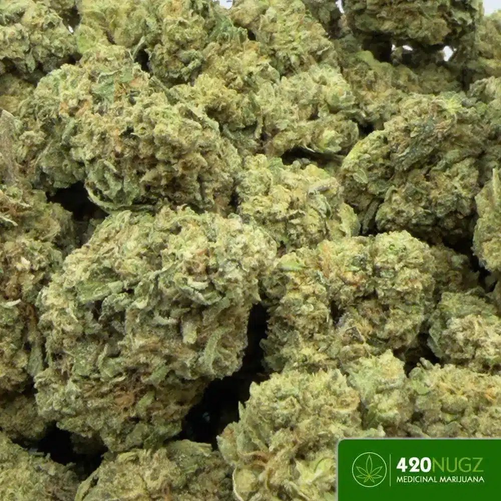 Budget Bangerz - Rooz Cookies